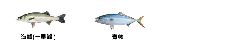 23 LUREMATIC (溪釣．鱒魚款)